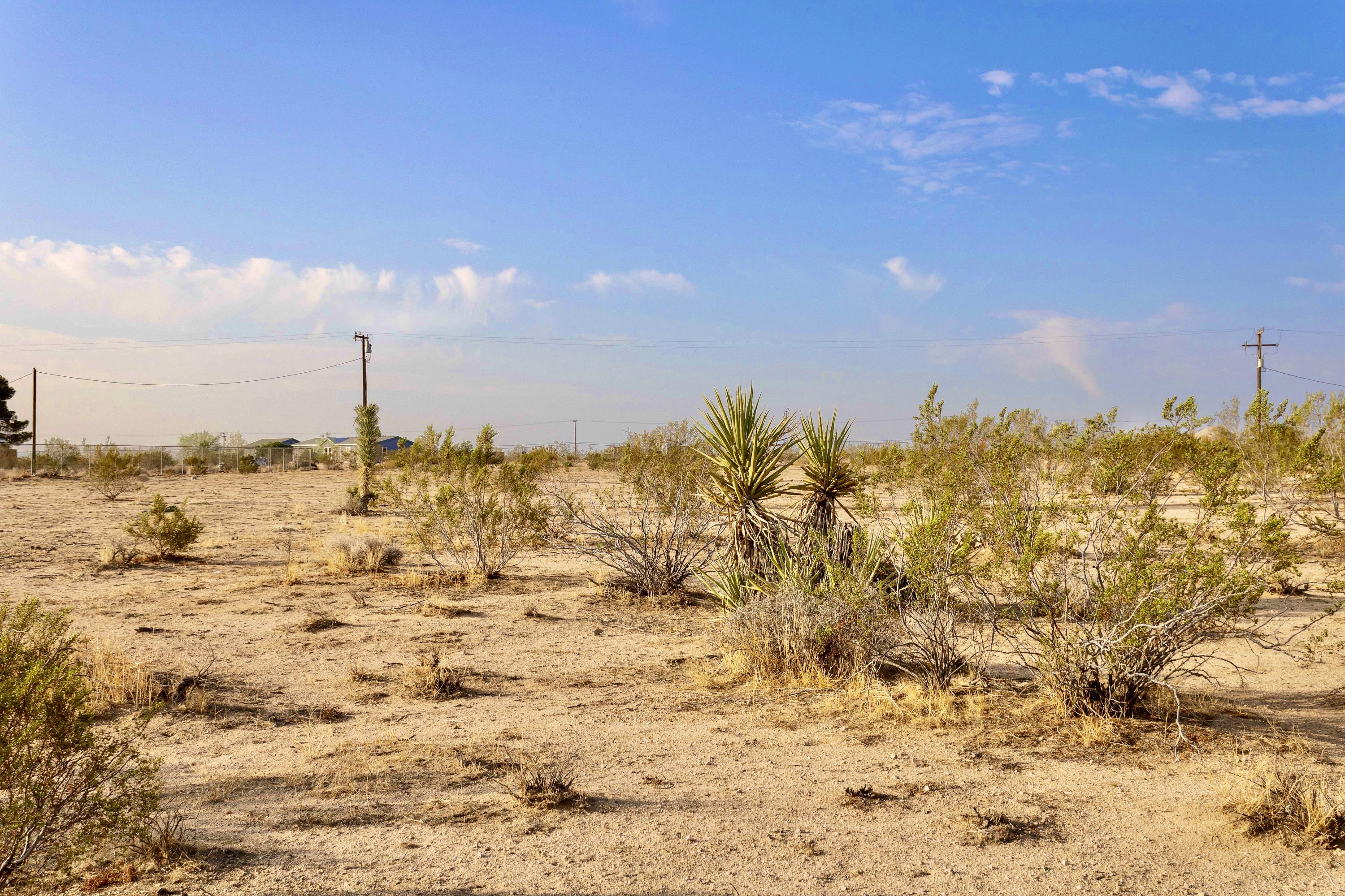 56720 Amargon Road Landers, CA 92285 - Photo 1 of 25 IMG_1478 copy