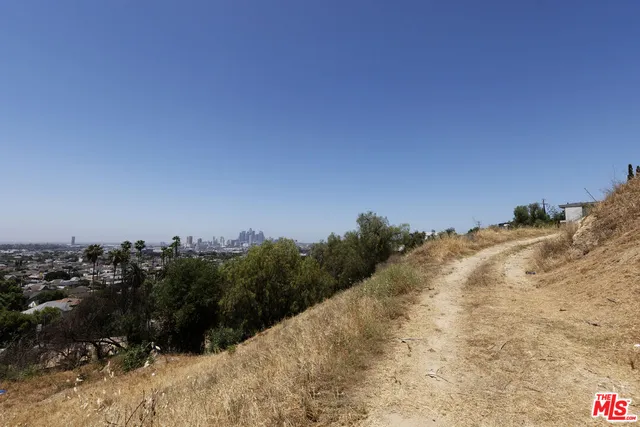 a view of a dry space with a mountain in the back