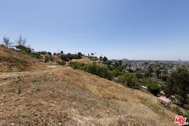 a view of a dry yard with trees