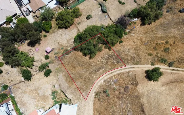 a vase with flowers in it