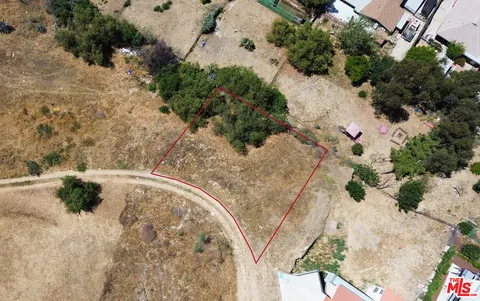 a view of a yard with plants and trees