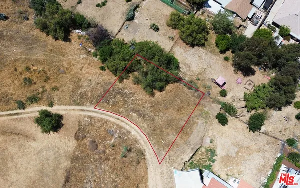 a view of a yard with plants and trees