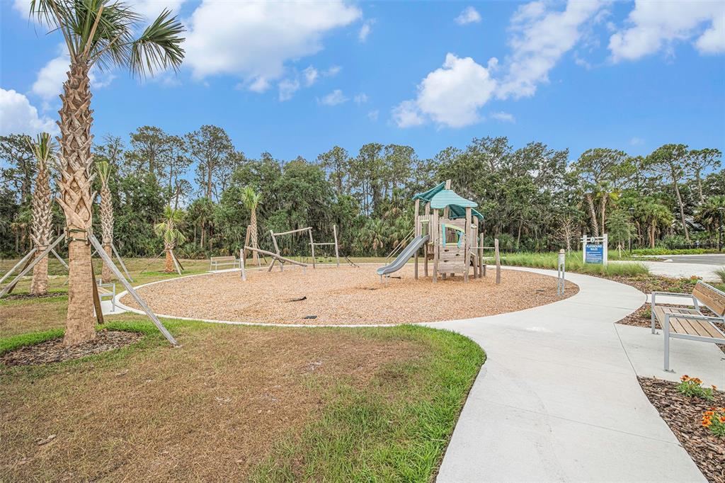 8312 Reefbay Cove Parrish, FL 34221 - Photo 35 of 36 a park view with a entertaining space and palm trees