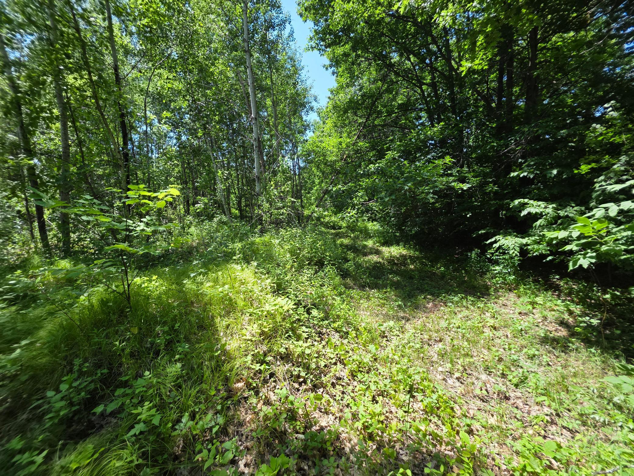 5098 177th Street Milaca, MN 56353 - Photo 26 of 44