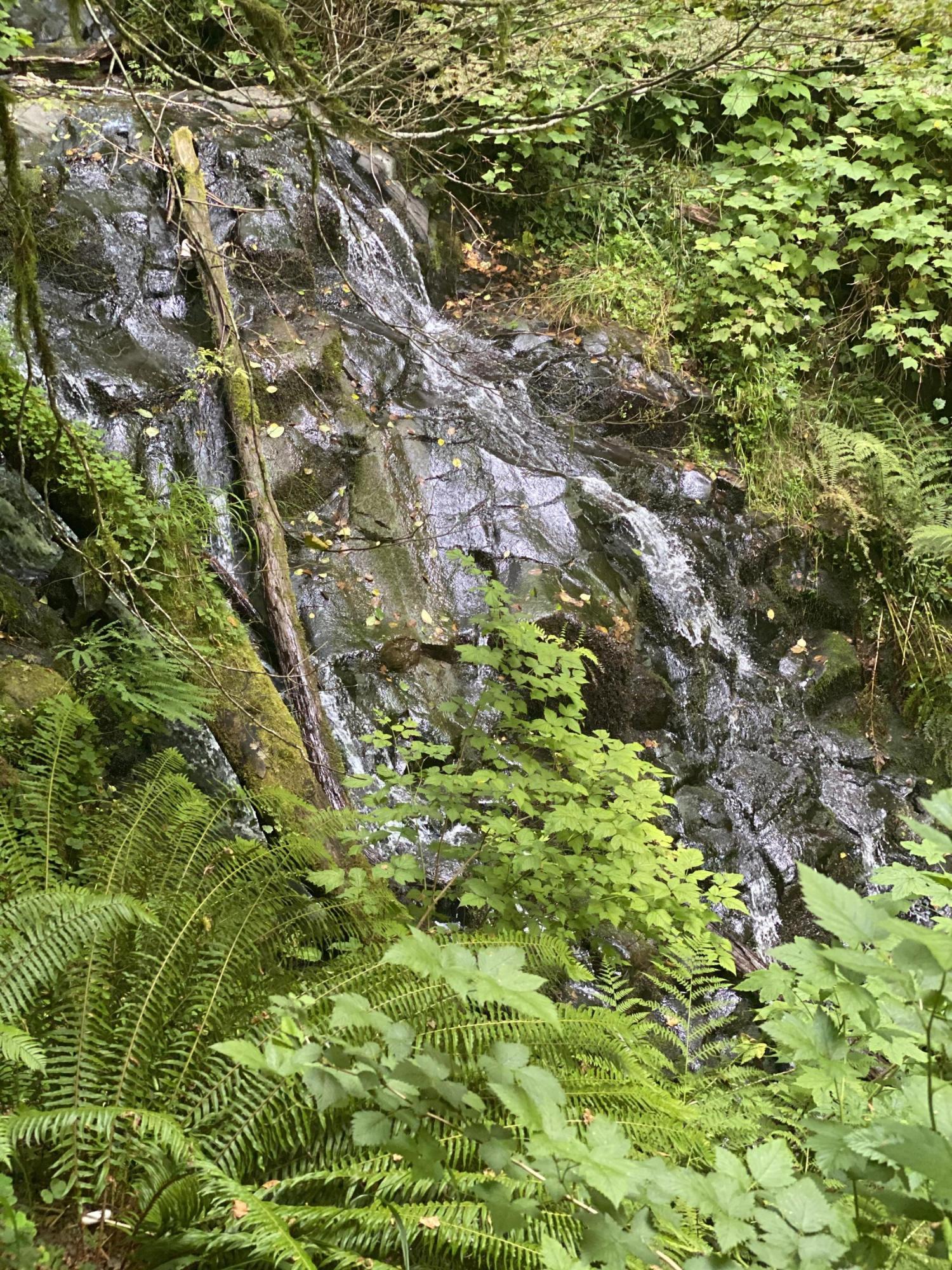106 Trask River Road Tillamook, OR 97141 - Photo 3 of 11 IMG-1790