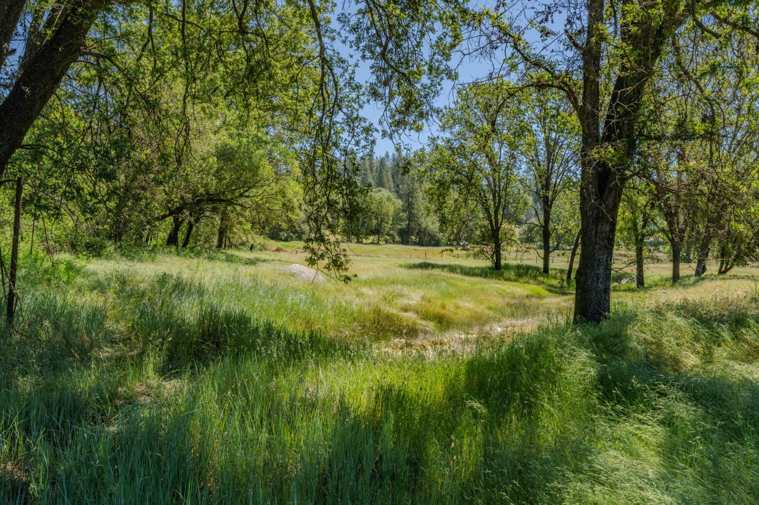 22930 Meadow View Road Fiddletown, CA 95629 - Photo 23 of 95