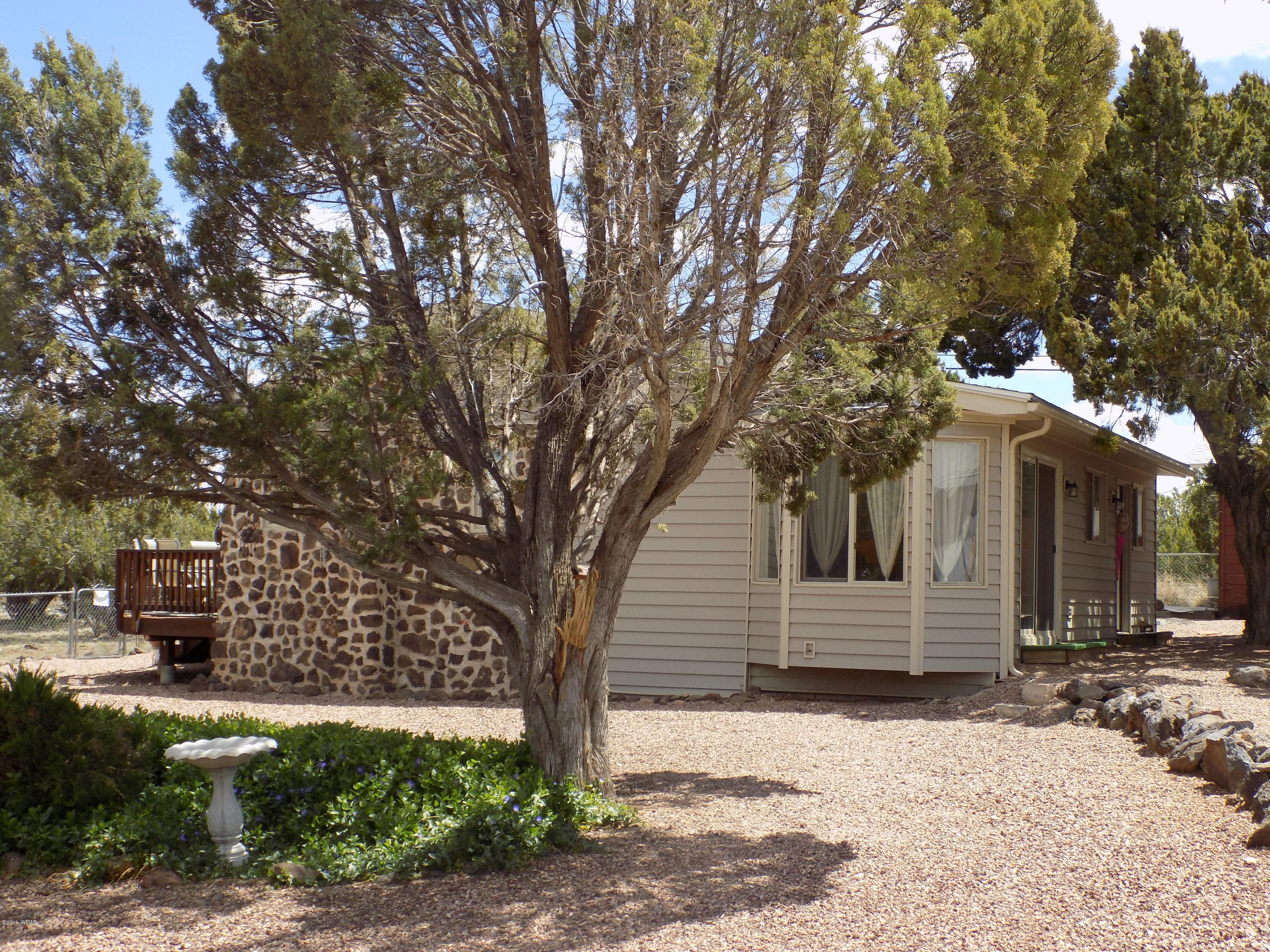 8519 Rifle Drive Show Low, AZ 85901 - Photo 2 of 15