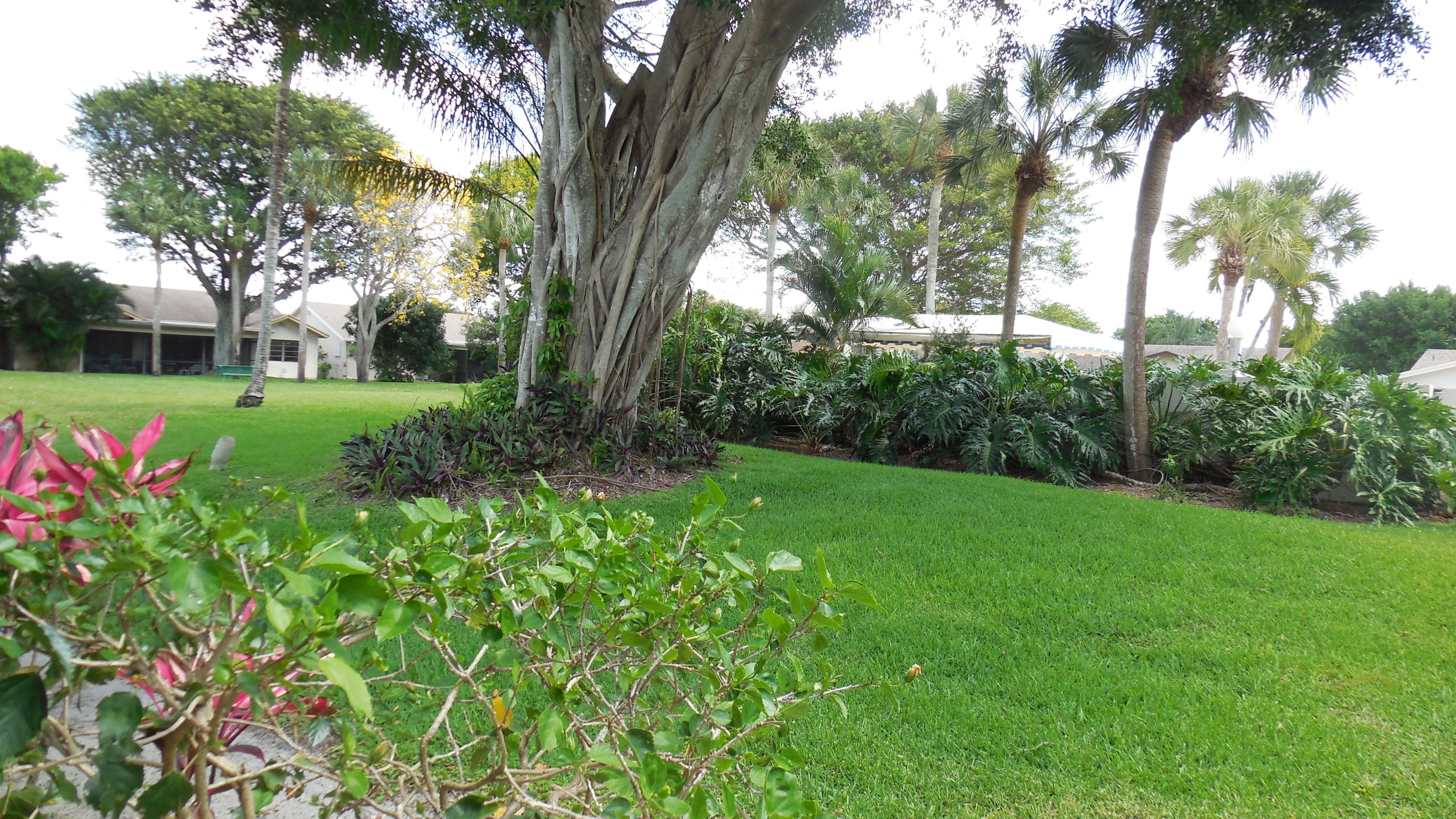 18090 Grove Avenue Boca Raton, FL 33498 - Photo 2 of 38 DSCN8048