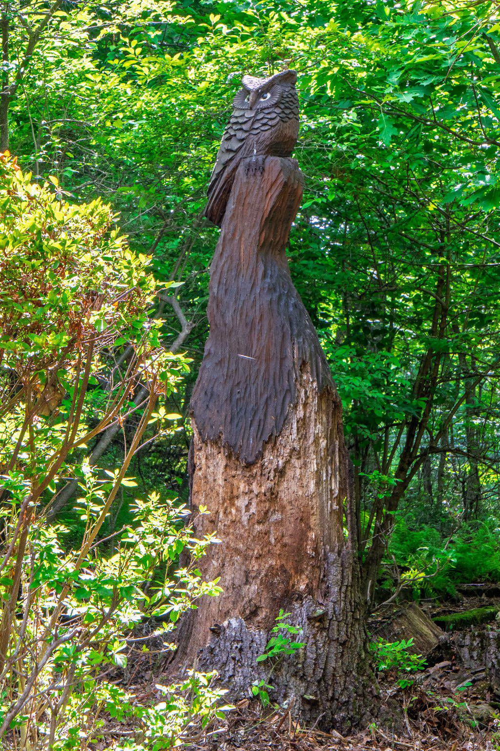 635 Laurel Ridge Road Reinholds, PA 17569 - Photo 54 of 63 Majestic owl carved by a local chainsaw artist