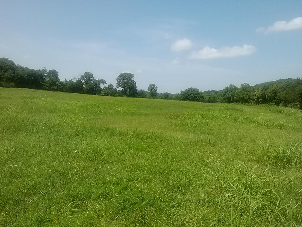 Polly Adams Road Lewisburg, TN 37091 - Photo 1 of 15 0810131429