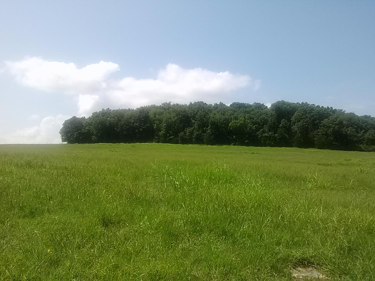 Polly Adams Road Lewisburg, TN 37091 - Photo 2 of 15 0810131430