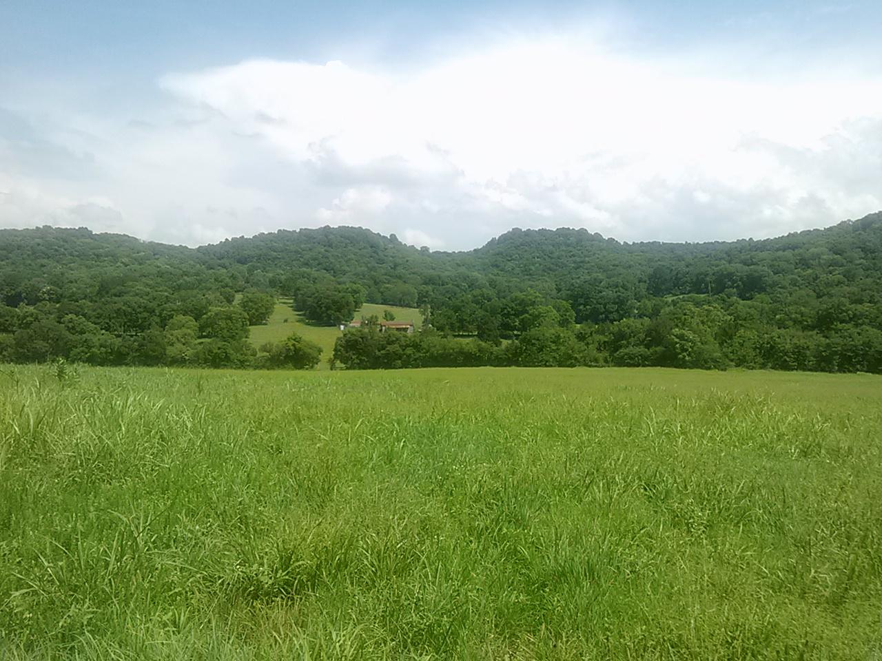 Polly Adams Road Lewisburg, TN 37091 - Photo 14 of 15 0810131436b