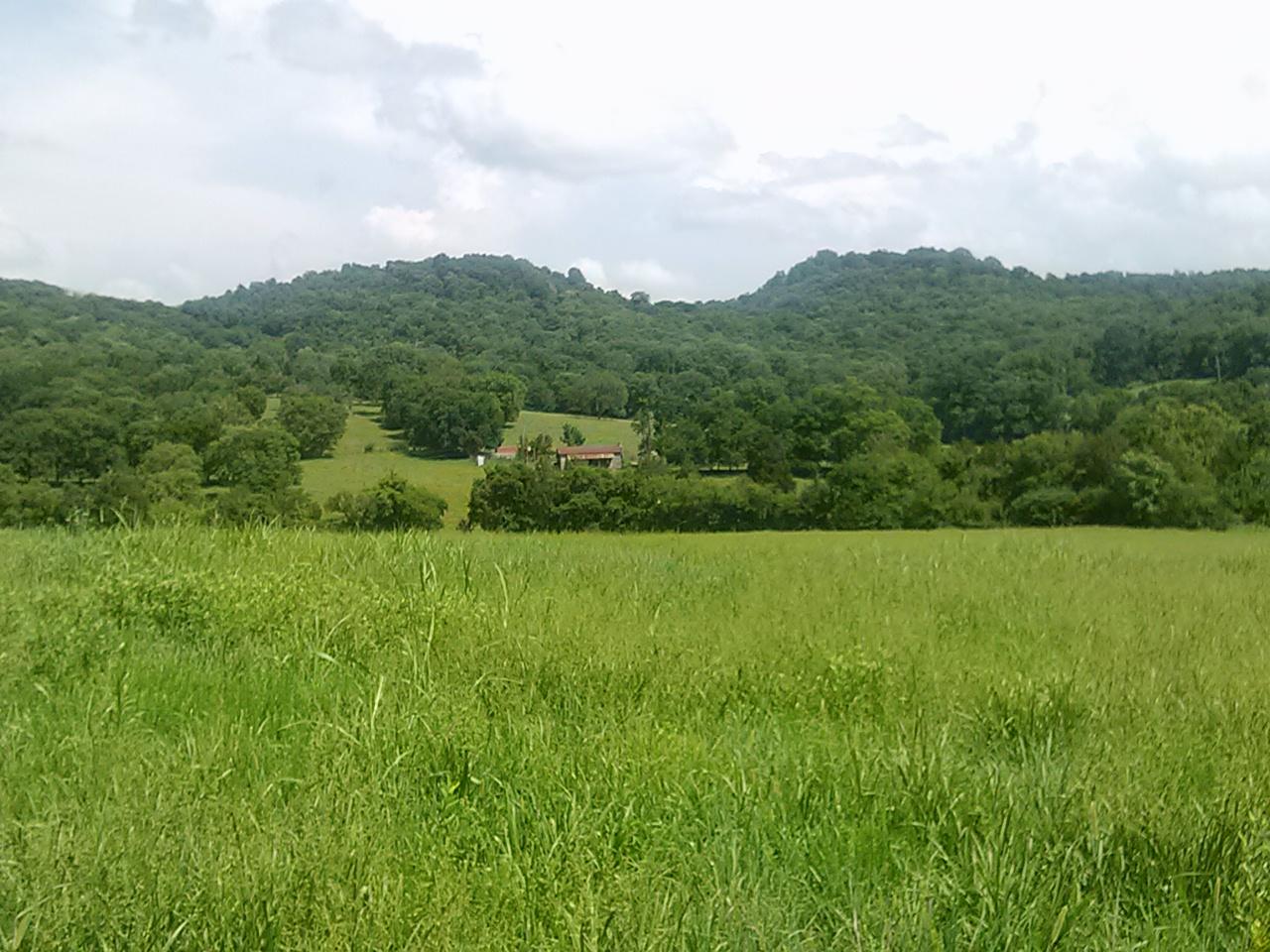 Polly Adams Road Lewisburg, TN 37091 - Photo 15 of 15 0810131439b