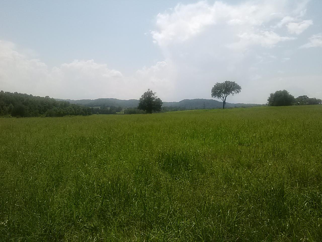 Polly Adams Road Lewisburg, TN 37091 - Photo 3 of 15 0810131430a