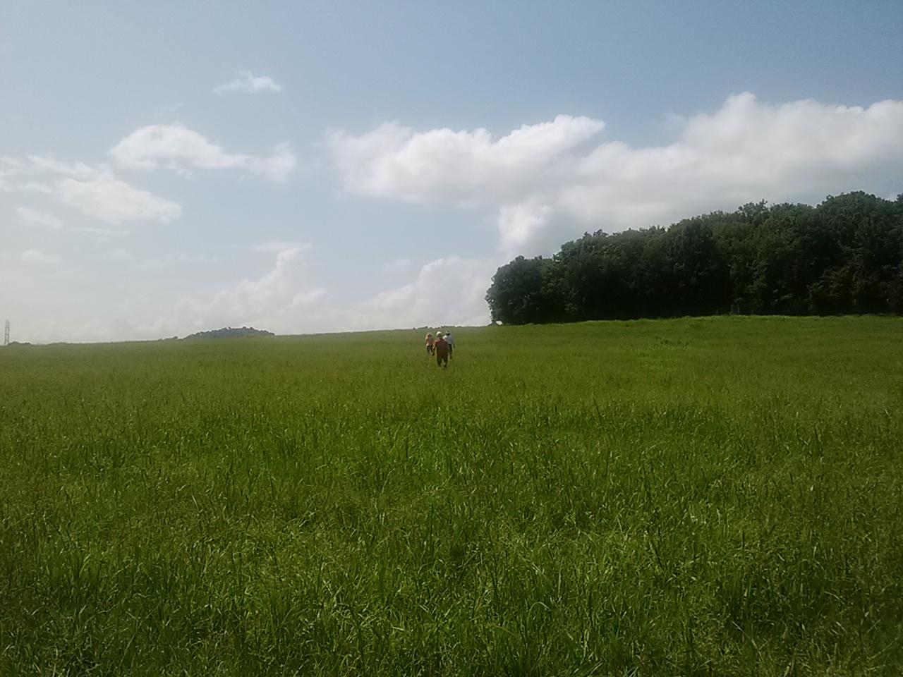 Polly Adams Road Lewisburg, TN 37091 - Photo 4 of 15 0810131430b