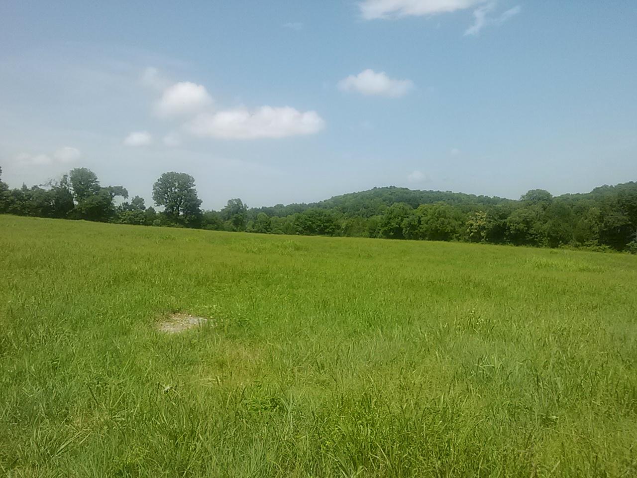 Polly Adams Road Lewisburg, TN 37091 - Photo 6 of 15 0810131431a