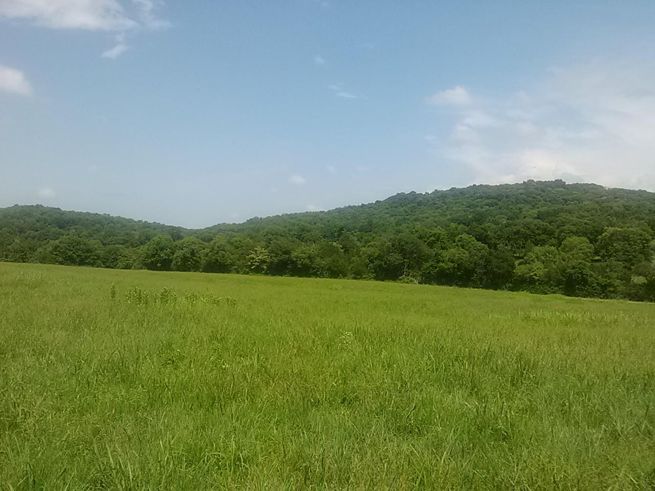 Polly Adams Road Lewisburg, TN 37091 - Photo 8 of 15 0810131432