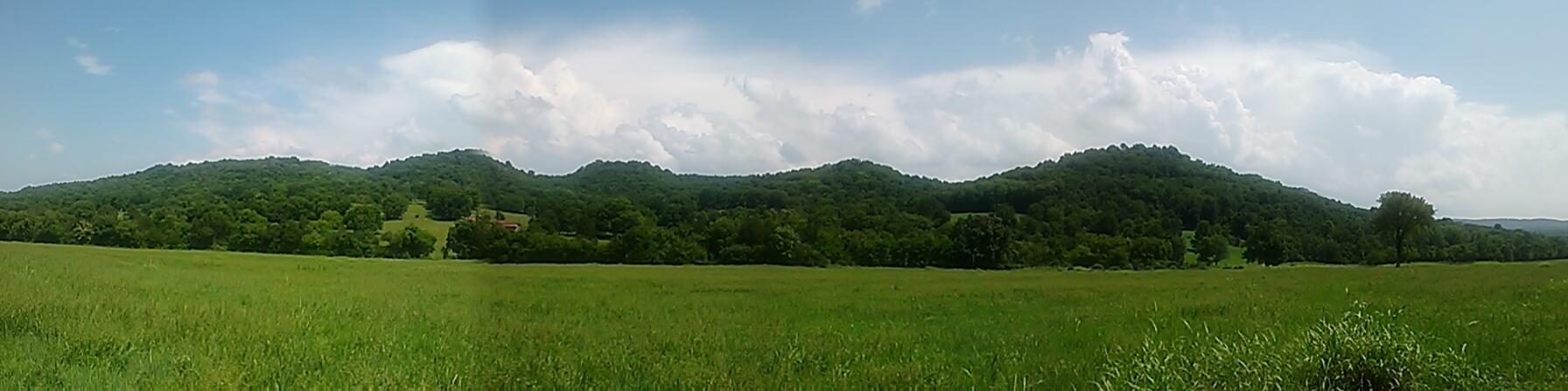 Polly Adams Road Lewisburg, TN 37091 - Photo 9 of 15 0810131433