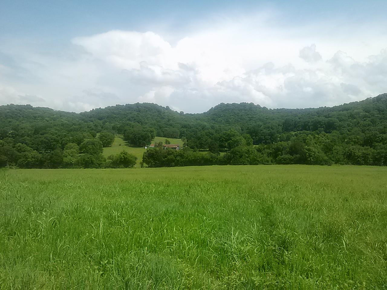 Polly Adams Road Lewisburg, TN 37091 - Photo 10 of 15 0810131435