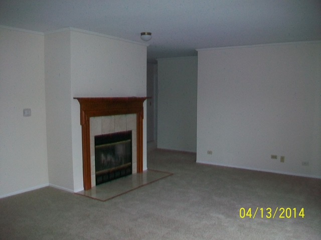 2303 South Goebbert Road, Unit A208 Arlington Heights, IL 60005 - Photo 5 of 11