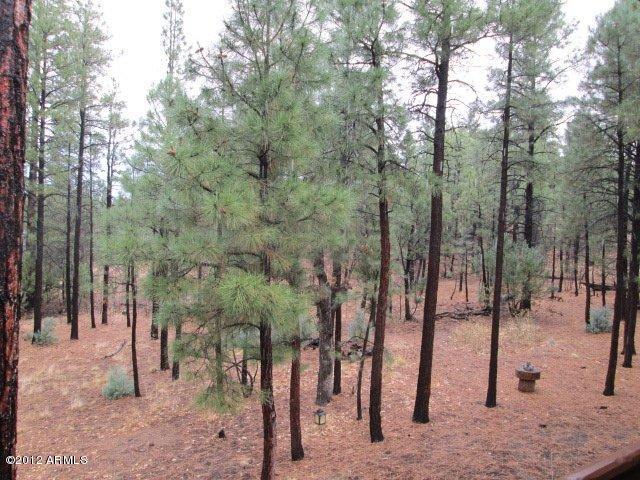 3580 West Falling Leaf Road Show Low, AZ 85901 - Photo 29 of 41 2012-06-24 02