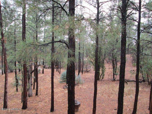 3580 West Falling Leaf Road Show Low, AZ 85901 - Photo 32 of 41 2012-06-24 02