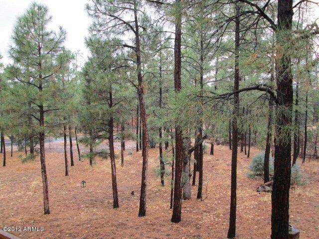 3580 West Falling Leaf Road Show Low, AZ 85901 - Photo 33 of 41 2012-06-24 02