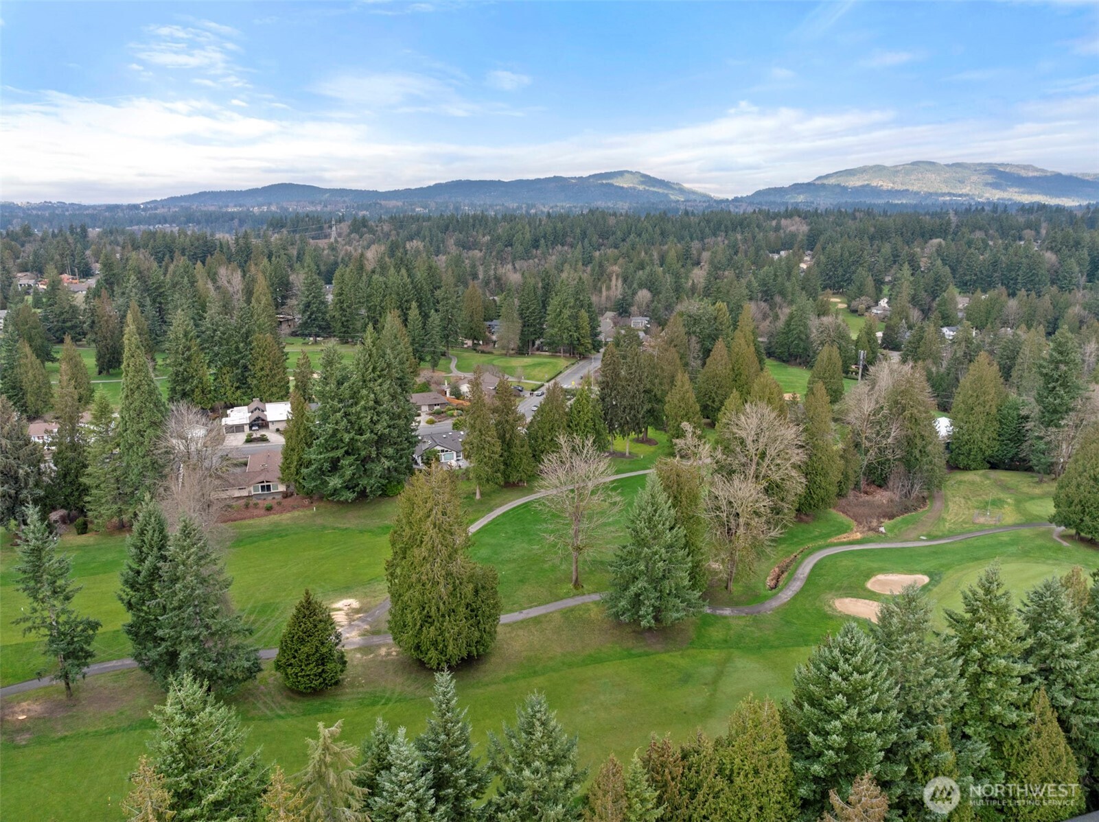 17514 151st Avenue Southeast, Unit I16 Renton, WA 98058 - Photo 3 of 16 an aerial view of green landscape with trees houses and mountain view