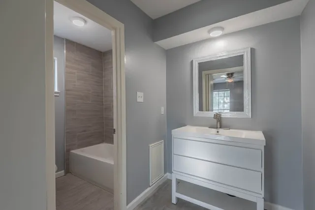 a bathroom with a sink and a mirror