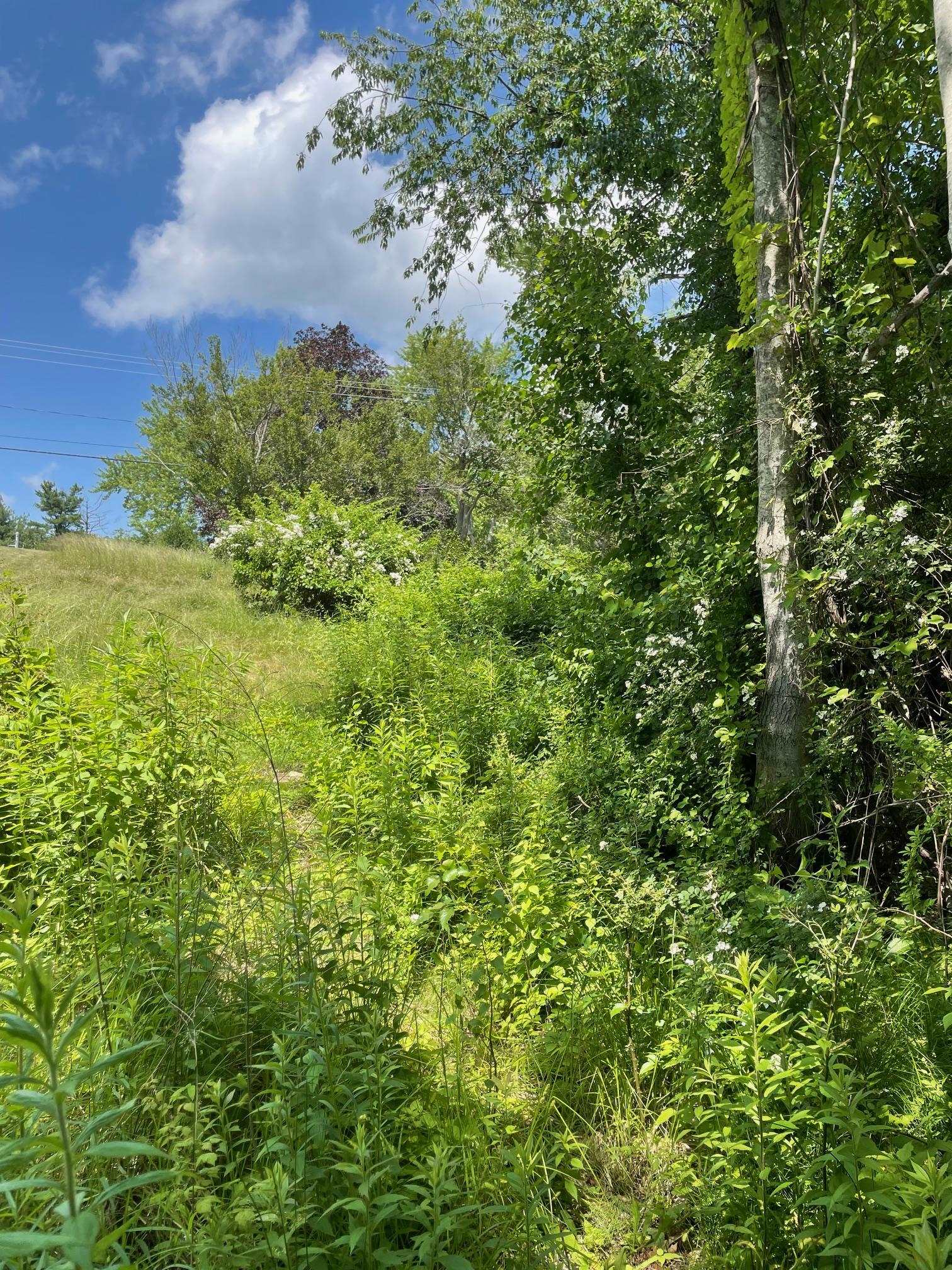 0 Lovell Road Stratham, NH 03885 - Photo 2 of 4