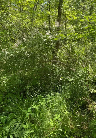 $110,000 | 0 Lovell Road, Stratham, NH 03885