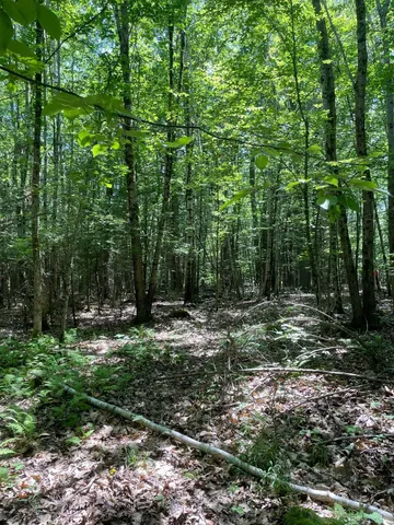 $110,000 | 0 Lovell Road, Stratham, NH 03885