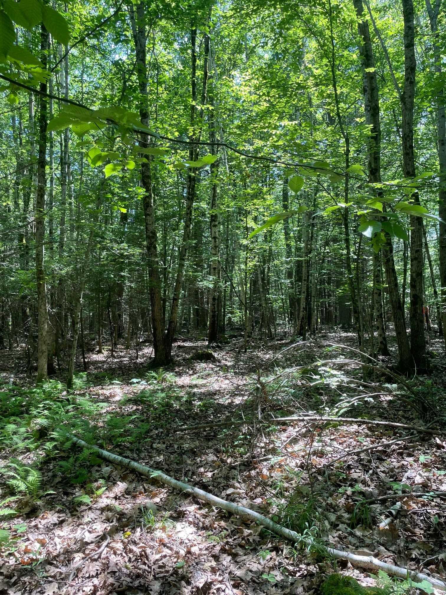 0 Lovell Road Stratham, NH 03885 - Photo 4 of 4