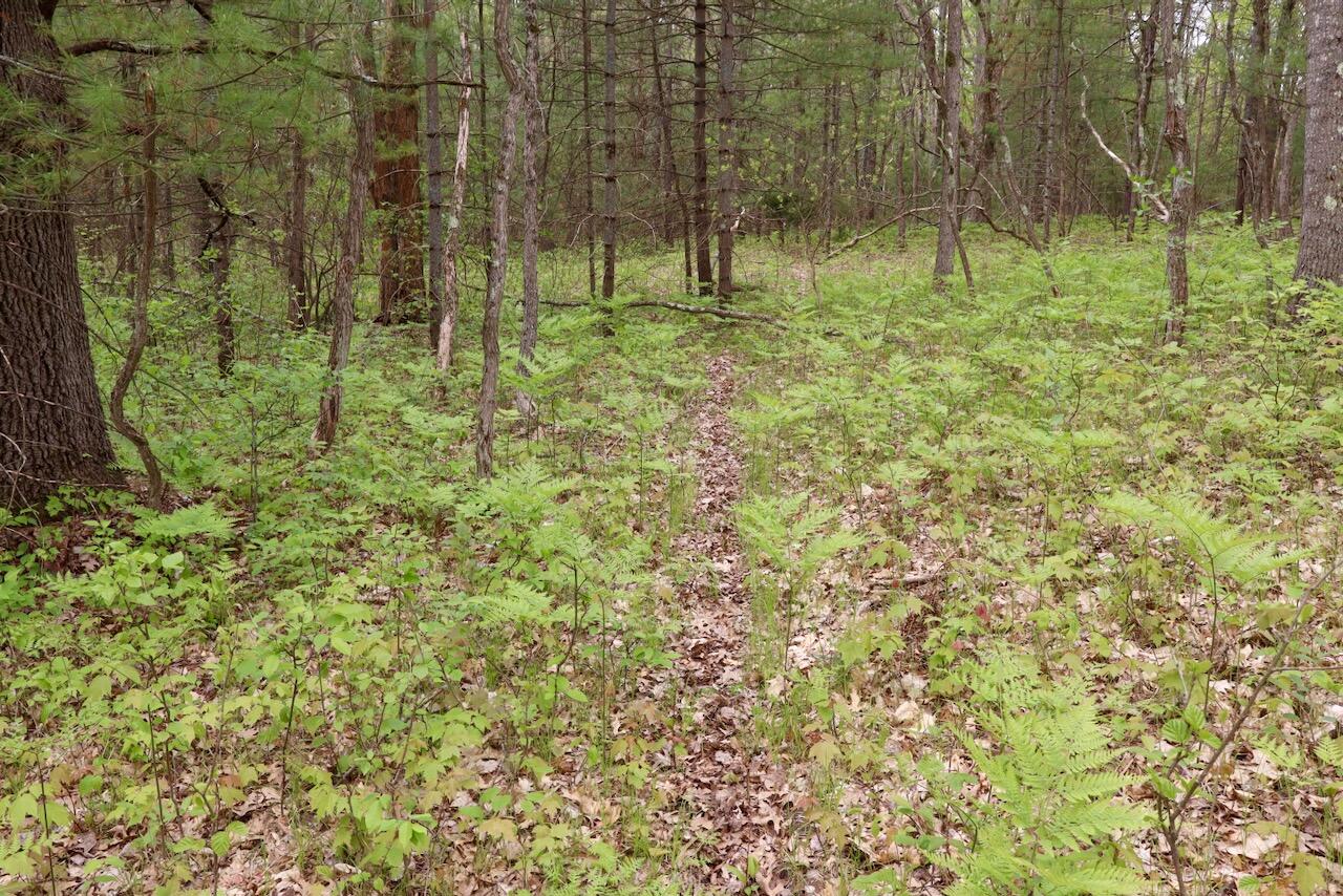 6153 South Branch Road Branch, MI 49402 - Photo 34 of 70 28b