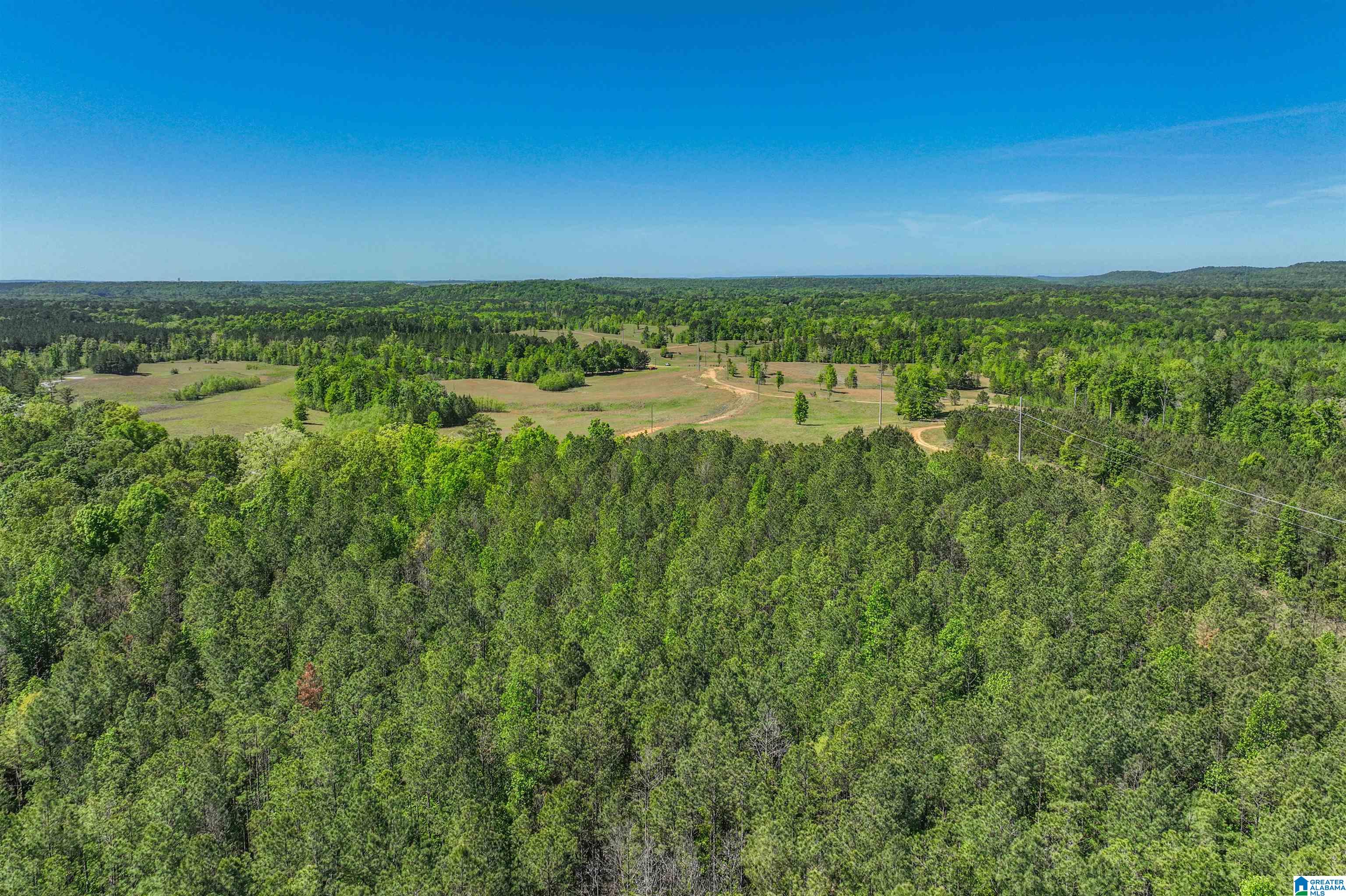 489 4 Wing Lake Road Alabaster, AL 35007 - Photo 17 of 27