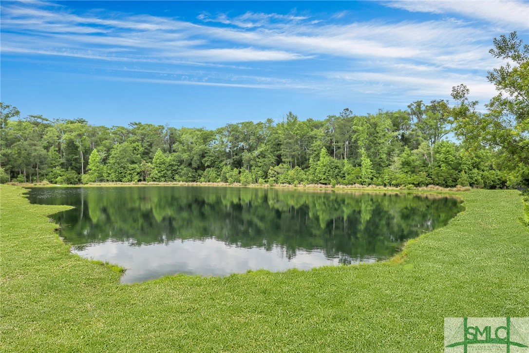 109 Bramswell Road Pooler, GA 31322 - Photo 34 of 50