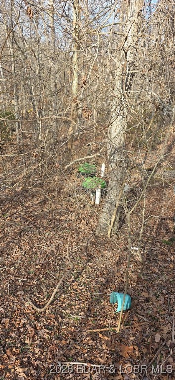 4458 North Cove Road Stover, MO 65078 - Photo 8 of 8