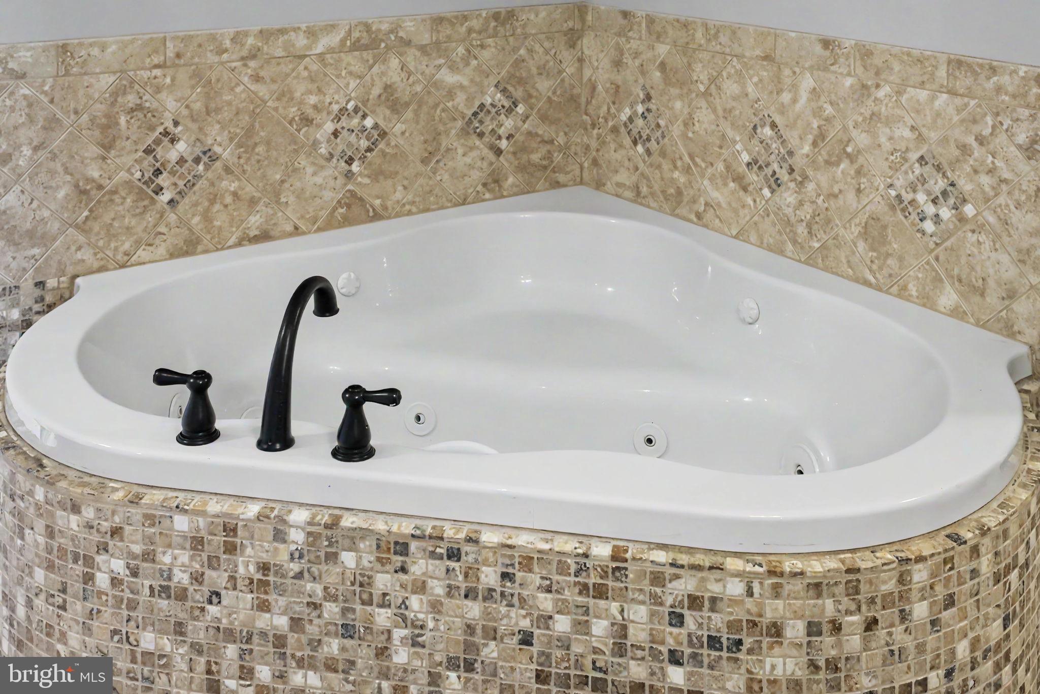 16081 Purcellville Road Purcellville, VA 20132 - Photo 72 of 117 Heated Spa Tub