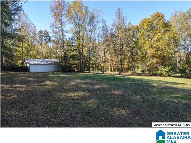245 Chimney Rock Road Southwest Leeds, AL 35094 - Photo 31 of 32
