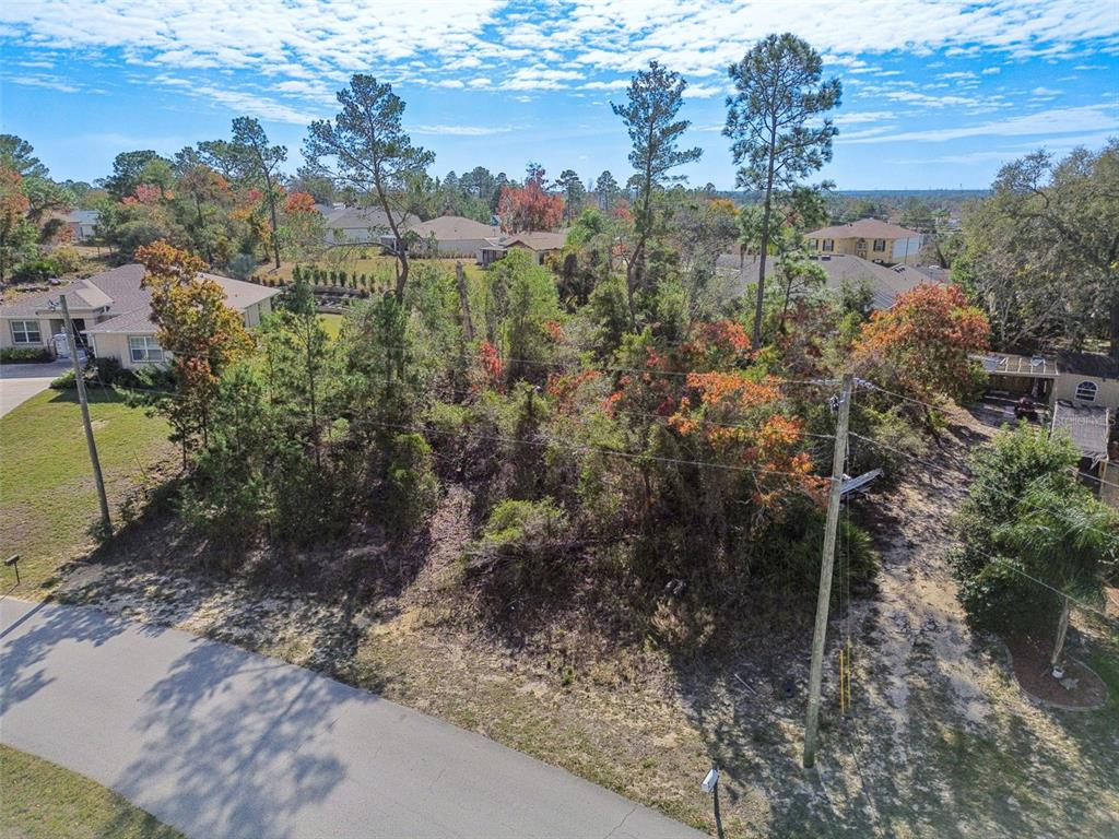 13014 Hanley Drive Spring Hill, FL 34609 - Photo 2 of 30 a view of lake
