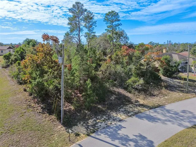 a view of a yard with an trees