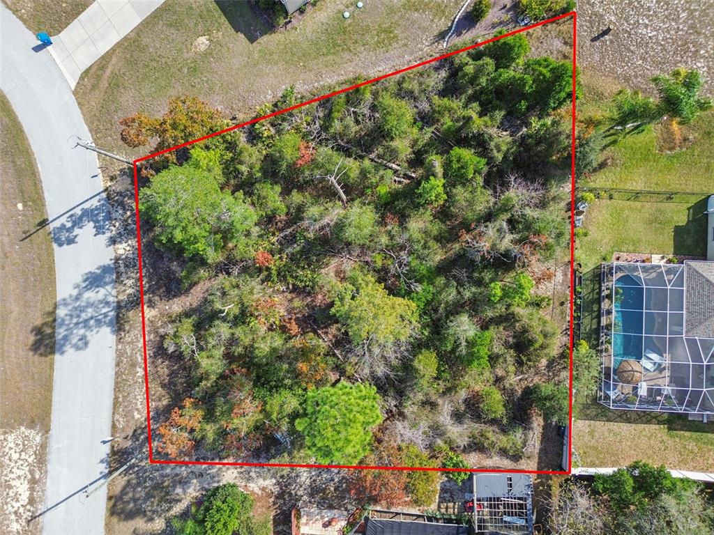 13014 Hanley Drive Spring Hill, FL 34609 - Photo 4 of 30 an aerial view of a houses with outdoor space