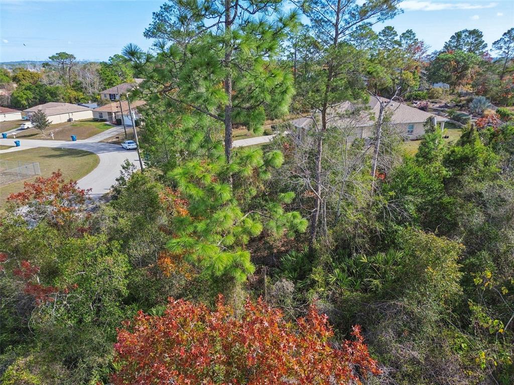 13014 Hanley Drive Spring Hill, FL 34609 - Photo 6 of 30 a view of a lake with houses