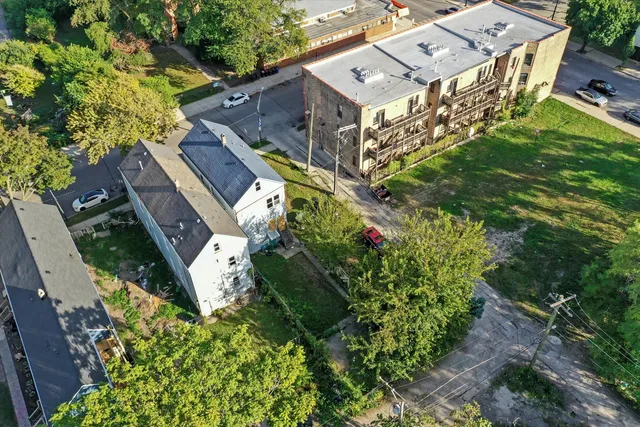a view of a backyard with plants and large trees