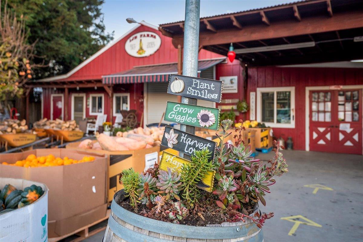 7610 Miller Avenue Gilroy, CA 95020 - Photo 38 of 49 a view of a chairs and tables in the patio