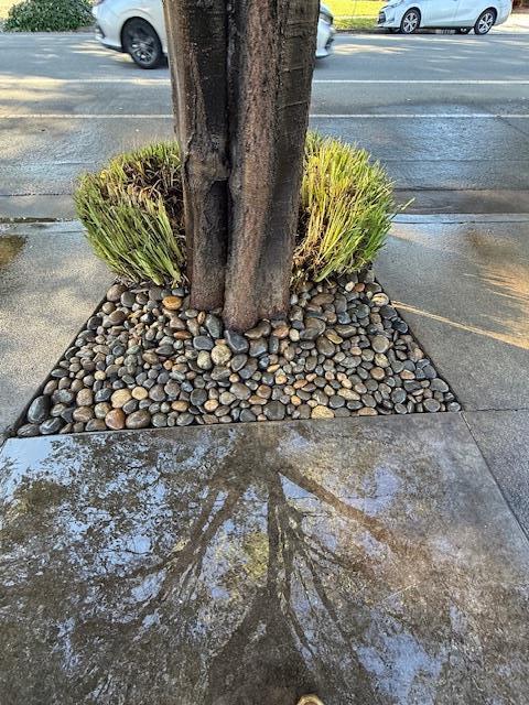 7610 Miller Avenue Gilroy, CA 95020 - Photo 10 of 49 a view of banana tree