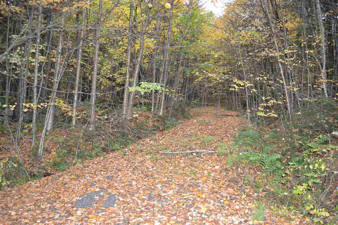 1496 Hazens Notch Road, Unit 31 Montgomery, VT 05471 - Photo 3 of 4