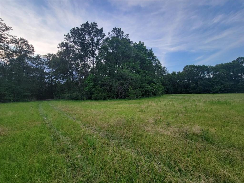 0 McLain Road Covington, LA 70435 - Photo 3 of 5