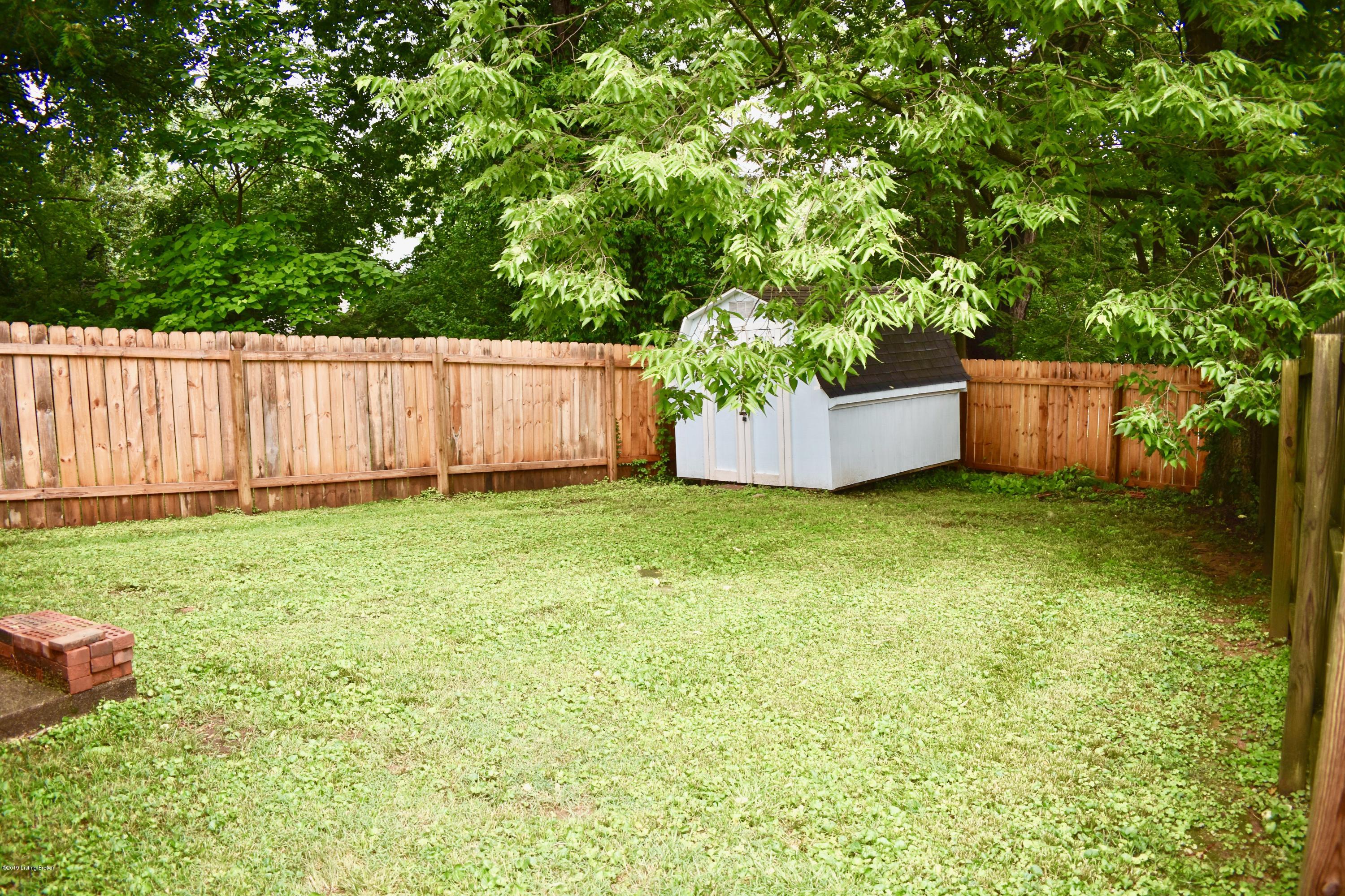 3016 University Road Louisville, KY 40206 - Photo 9 of 32 Back Yard