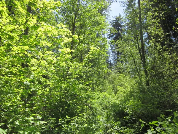 $164,995 | 20633 Southeast 388th Street, Auburn, WA 98092